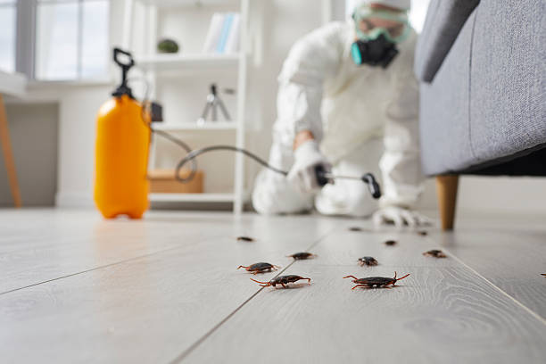 Commercial Kitchen Cockroach Control in Willoughby Hills